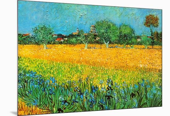 View of Arles with Irises-Vincent van Gogh-Mounted Art Print