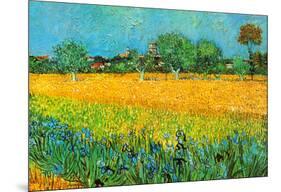 View of Arles with Irises-Vincent van Gogh-Mounted Art Print