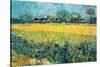 View of Arles with Irises-Vincent van Gogh-Framed Stretched Canvas