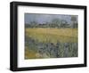 View of Arles with Irises-Vincent van Gogh-Framed Giclee Print