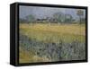 View of Arles with Irises-Vincent van Gogh-Framed Stretched Canvas