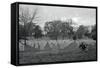 View of Arlington Cemetery-null-Framed Stretched Canvas