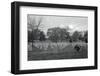 View of Arlington Cemetery-null-Framed Photographic Print