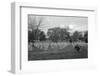 View of Arlington Cemetery-null-Framed Photographic Print