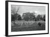 View of Arlington Cemetery-null-Framed Photographic Print