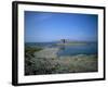View of Asinara Island, Alghero Stintino, Sardinia, Italy-Oliviero Olivieri-Framed Photographic Print