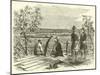 View of Atlanta from the Signal Station North of the Chattahoochee, July 1864-null-Mounted Giclee Print