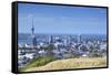 View of Auckland from Mount Eden, Auckland, North Island, New Zealand, Pacific-Ian-Framed Stretched Canvas
