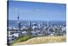 View of Auckland from Mount Eden, Auckland, North Island, New Zealand, Pacific-Ian-Stretched Canvas