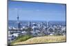 View of Auckland from Mount Eden, Auckland, North Island, New Zealand, Pacific-Ian-Mounted Photographic Print