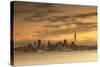 View of Auckland Skyline at Dusk, Auckland, North Island, New Zealand-Ian Trower-Stretched Canvas