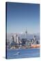 View of Auckland Skyline, Auckland, North Island, New Zealand, Pacific-Ian-Stretched Canvas