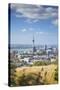 View of Auckland with Man Hiking on Mount Eden, Auckland, North Island, New Zealand, Pacific-Ian-Stretched Canvas