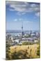 View of Auckland with Man Hiking on Mount Eden, Auckland, North Island, New Zealand, Pacific-Ian-Mounted Photographic Print