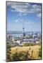 View of Auckland with Man Hiking on Mount Eden, Auckland, North Island, New Zealand, Pacific-Ian-Mounted Photographic Print