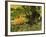 View of Autumn Forest, Vermont, USA-Walter Bibikow-Framed Photographic Print