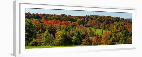 View of autumn trees on a landscape, Brome, Quebec, Canada-null-Framed Premium Photographic Print