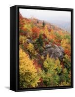 View of Autumnal Rocks, Blue Ridge Parkway, North Carolina, USA-Adam Jones-Framed Stretched Canvas