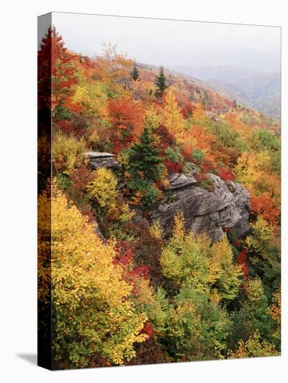 View of Autumnal Rocks, Blue Ridge Parkway, North Carolina, USA-Adam Jones-Stretched Canvas