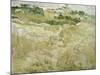 View of Auvers, 1890-Vincent van Gogh-Mounted Giclee Print