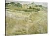 View of Auvers, 1890-Vincent van Gogh-Stretched Canvas