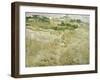 View of Auvers, 1890-Vincent van Gogh-Framed Giclee Print