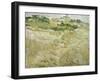 View of Auvers, 1890-Vincent van Gogh-Framed Giclee Print