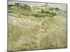 View of Auvers, 1890-Vincent van Gogh-Mounted Giclee Print