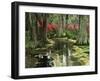 View of Azaleas and Cypresses Magnolia Plantation, Charleston, South Carolina, USA-Adam Jones-Framed Photographic Print