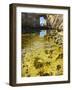 View of Azure Window Stone Arch, Dwejra, Gozo, Malta-Massimo Borchi-Framed Photographic Print