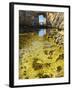 View of Azure Window Stone Arch, Dwejra, Gozo, Malta-Massimo Borchi-Framed Photographic Print