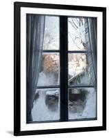 View of Bad Tolz Spa Town Covered By Snow at Sunrise From Window, Bavaria, Germany, Europe-Richard Nebesky-Framed Photographic Print