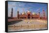 View of Badshahi Masjid, Lahore, Pakistan-Yasir Nisar-Framed Stretched Canvas