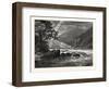 View of Balcony Falls, James River, Virginia, United States of America-null-Framed Giclee Print