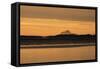 View of Bamburgh Castle from Holy Island Causeway at Dawn-null-Framed Stretched Canvas