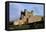 View of Bamburgh Castle, Northumberland, England, 11th Century-null-Framed Stretched Canvas