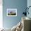 View of Bamburgh Castle, Northumberland, England, 11th Century-null-Framed Giclee Print displayed on a wall