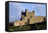 View of Bamburgh Castle, Northumberland, England, 11th Century-null-Framed Stretched Canvas