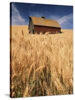 View of Barn Surrounded with Wheat Field, Palouse, Washington State, USA-Stuart Westmorland-Stretched Canvas