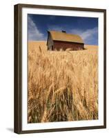 View of Barn Surrounded with Wheat Field, Palouse, Washington State, USA-Stuart Westmorland-Framed Premium Photographic Print