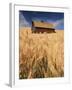 View of Barn Surrounded with Wheat Field, Palouse, Washington State, USA-Stuart Westmorland-Framed Premium Photographic Print