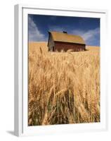 View of Barn Surrounded with Wheat Field, Palouse, Washington State, USA-Stuart Westmorland-Framed Premium Photographic Print