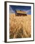 View of Barn Surrounded with Wheat Field, Palouse, Washington State, USA-Stuart Westmorland-Framed Premium Photographic Print
