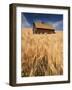 View of Barn Surrounded with Wheat Field, Palouse, Washington State, USA-Stuart Westmorland-Framed Photographic Print