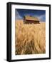 View of Barn Surrounded with Wheat Field, Palouse, Washington State, USA-Stuart Westmorland-Framed Photographic Print