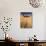 View of Barn Surrounded with Wheat Field, Palouse, Washington State, USA-Stuart Westmorland-Photographic Print displayed on a wall