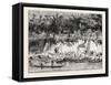 View of Bassac, Laos-null-Framed Stretched Canvas