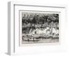 View of Bassac, Laos-null-Framed Premium Giclee Print