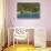 View of Bay, Cane Garden Bay, Tortola Island, British Virgin Islands-Massimo Borchi-Stretched Canvas displayed on a wall