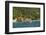 View of Bay, Cane Garden Bay, Tortola Island, British Virgin Islands-Massimo Borchi-Framed Photographic Print